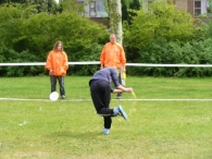 Koninginnedag 2010: Diversen