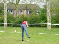 Koninginnedag 2010: Diversen