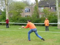 Koninginnedag 2010: Diversen