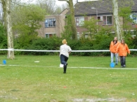 Koninginnedag 2010: Diversen