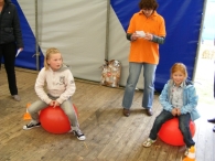 Koninginnedag 2010: Diversen