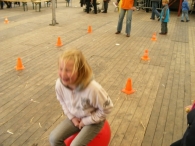 Koninginnedag 2010: Diversen