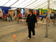 Koninginnedag 2010: Diversen