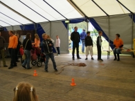 Koninginnedag 2010: Diversen