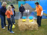 Koninginnedag 2010: Diversen