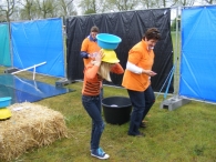 Koninginnedag 2010: Diversen