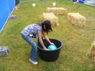 Koninginnedag 2010: Diversen
