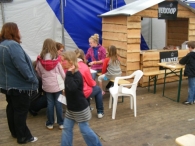 Koninginnedag 2010: Diversen