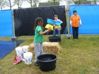 Koninginnedag 2010: Diversen