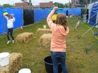 Koninginnedag 2010: Diversen