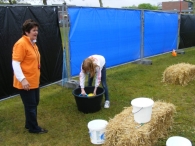 Koninginnedag 2010: Diversen