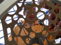 Koninginnedag 2010: Diversen