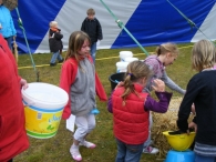 Koninginnedag 2010: Diversen