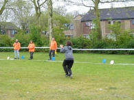 Koninginnedag 2010: Diversen
