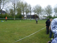 Koninginnedag 2010: Diversen