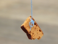 Koninginnedag 2010: Eiergooien en kinderspelen