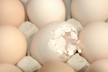 Koninginnedag 2011: Eiergooien en kinderspelen