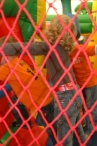 Koninginnedag 2011: Eiergooien en kinderspelen