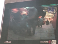 Lowlands 2006: dag 2