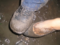 Lowlands 2006: dag 3