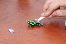 Lowlands 2010: zondag