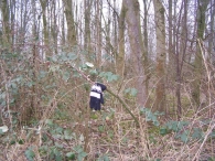 Werken op het Eiland