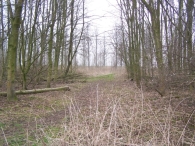 Werken op het Eiland