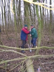 Werken op het Eiland