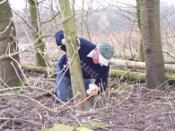 Werken op het Eiland