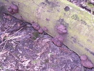 Werken op het Eiland