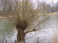 Werken op het Eiland