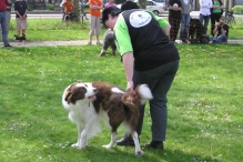 Koninginnedag 2004 - Waterzeskamp