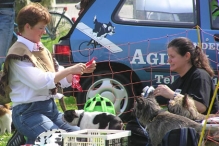 Koninginnedag 2004 - Waterzeskamp