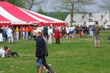 Koninginnedag 2004 - Waterzeskamp (2)