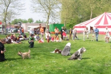 Koninginnedag 2004 - Doggy Dance