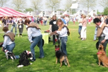 Koninginnedag 2004 - Doggy Dance