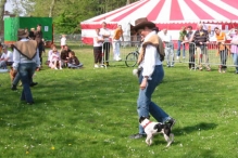 Koninginnedag 2004 - Doggy Dance