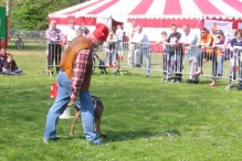 Koninginnedag 2004 - Doggy Dance