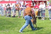 Koninginnedag 2004 - Doggy Dance