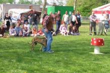 Koninginnedag 2004 - Doggy Dance