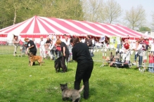 Koninginnedag 2004 - Doggy Dance