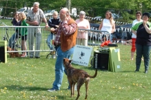 Koninginnedag 2004 - Doggy Dance (2)