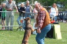 Koninginnedag 2004 - Doggy Dance (2)