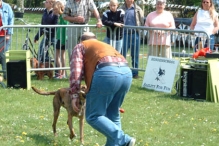 Koninginnedag 2004 - Doggy Dance (2)