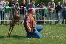Koninginnedag 2004 - Doggy Dance (2)