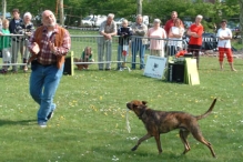 Koninginnedag 2004 - Doggy Dance (2)