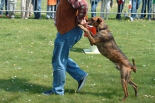 Koninginnedag 2004 - Doggy Dance (2)