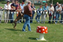 Koninginnedag 2004 - Doggy Dance (2)