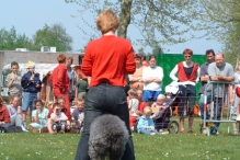 Koninginnedag 2004 - Doggy Dance (2)
