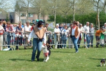 Koninginnedag 2004 - Doggy Dance (2)